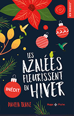 Les azalées fleurissent à Noël